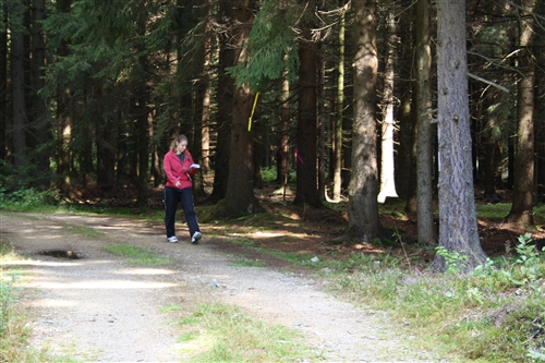Obrázek v galerii